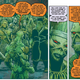 Illustration for article titled The end of Charles Soule’s iSwamp Thing/i explores the nature of art